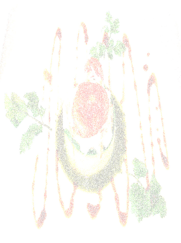 wpc2681c9d_0f.jpg